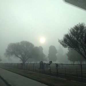 Meet your Posher, Alfonso